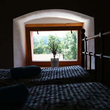 Zamek Liboun Hotel Louňovice pod Blaníkem Buitenkant foto