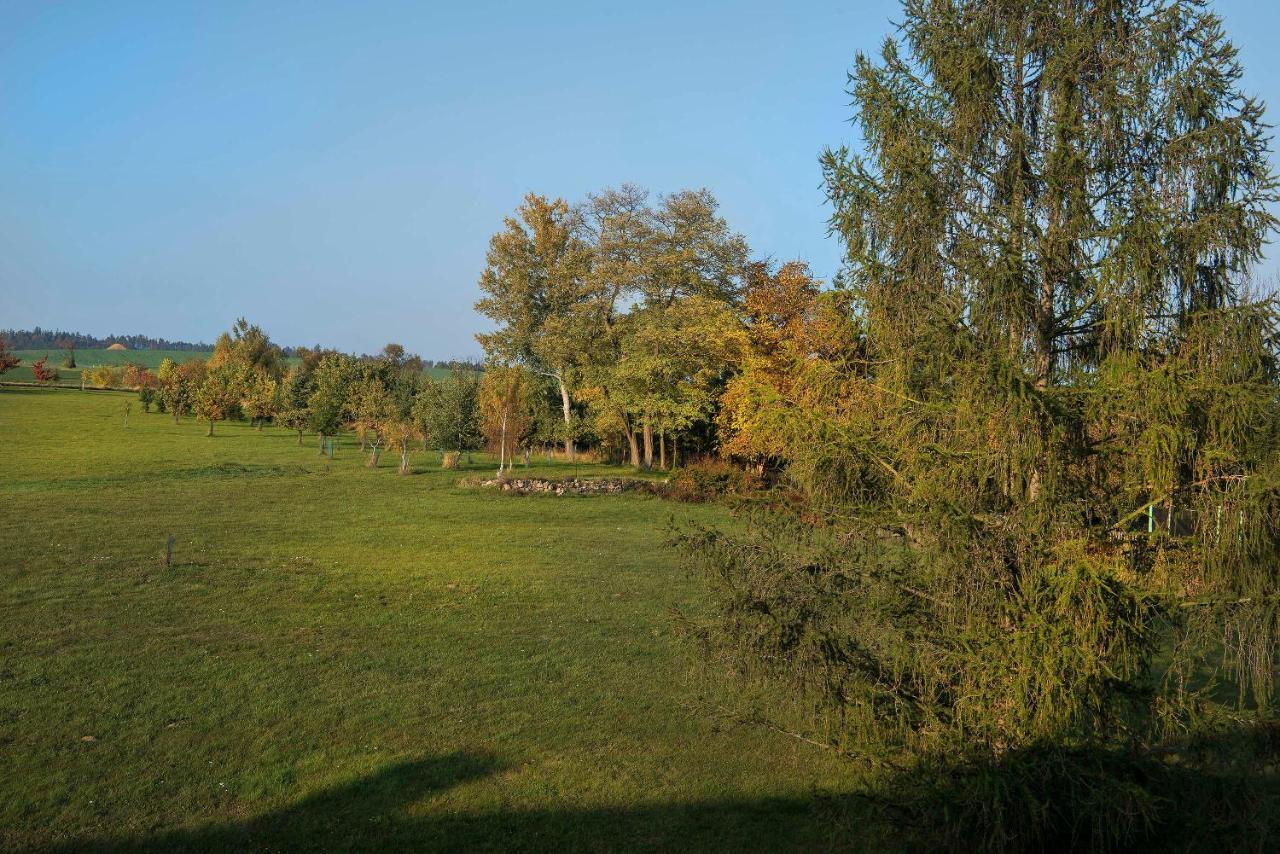 Zamek Liboun Hotel Louňovice pod Blaníkem Buitenkant foto