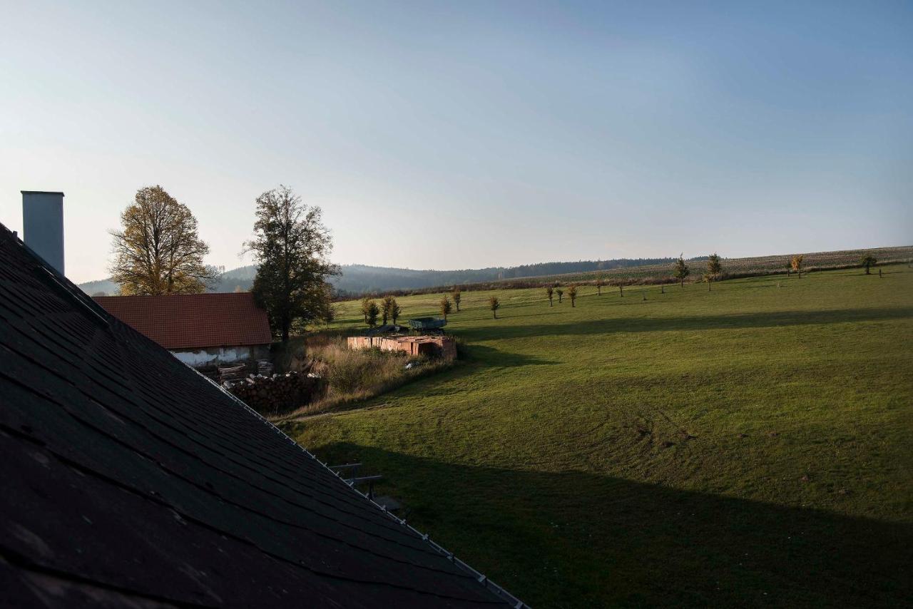 Zamek Liboun Hotel Louňovice pod Blaníkem Buitenkant foto